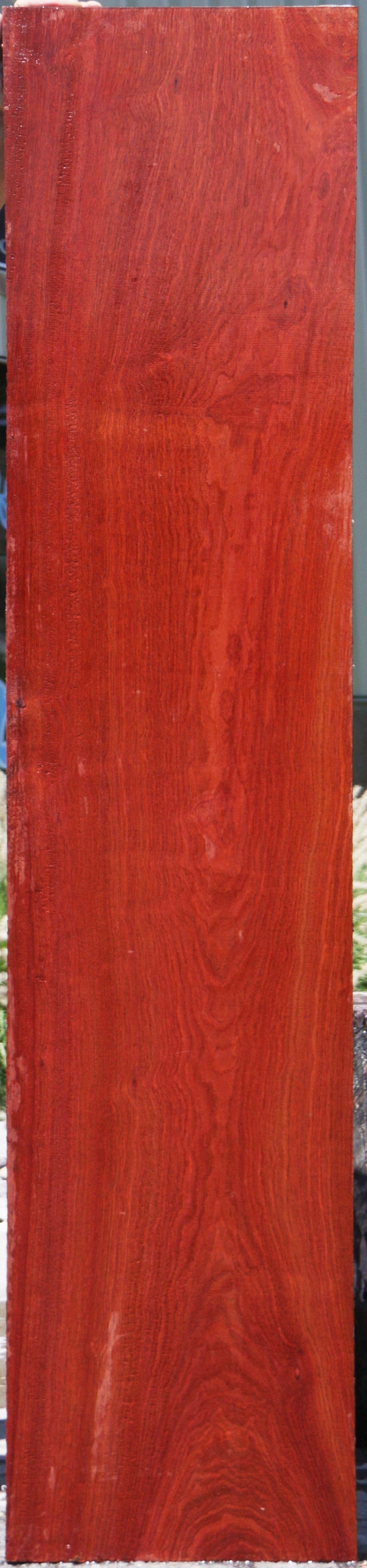 Extra Fancy Curly Eastern Red Maple Lumber – Cook Woods