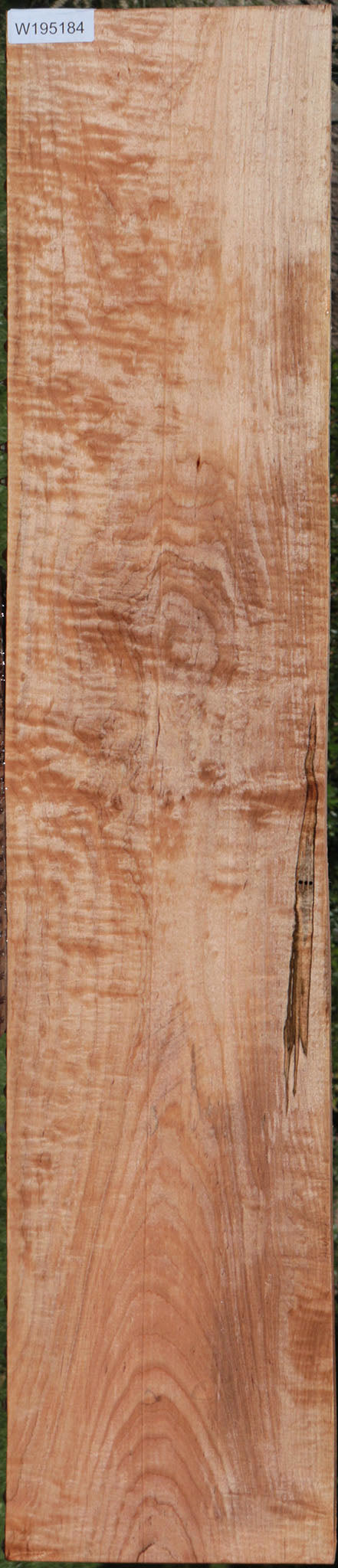 Extra Fancy Curly Eastern Red Maple Lumber – Cook Woods