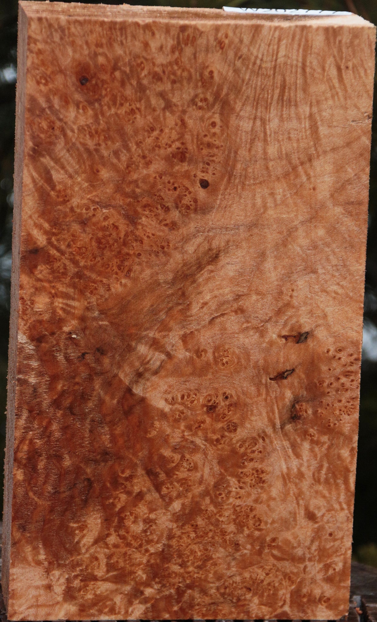 Maple with some Burl with nice high quality figuring