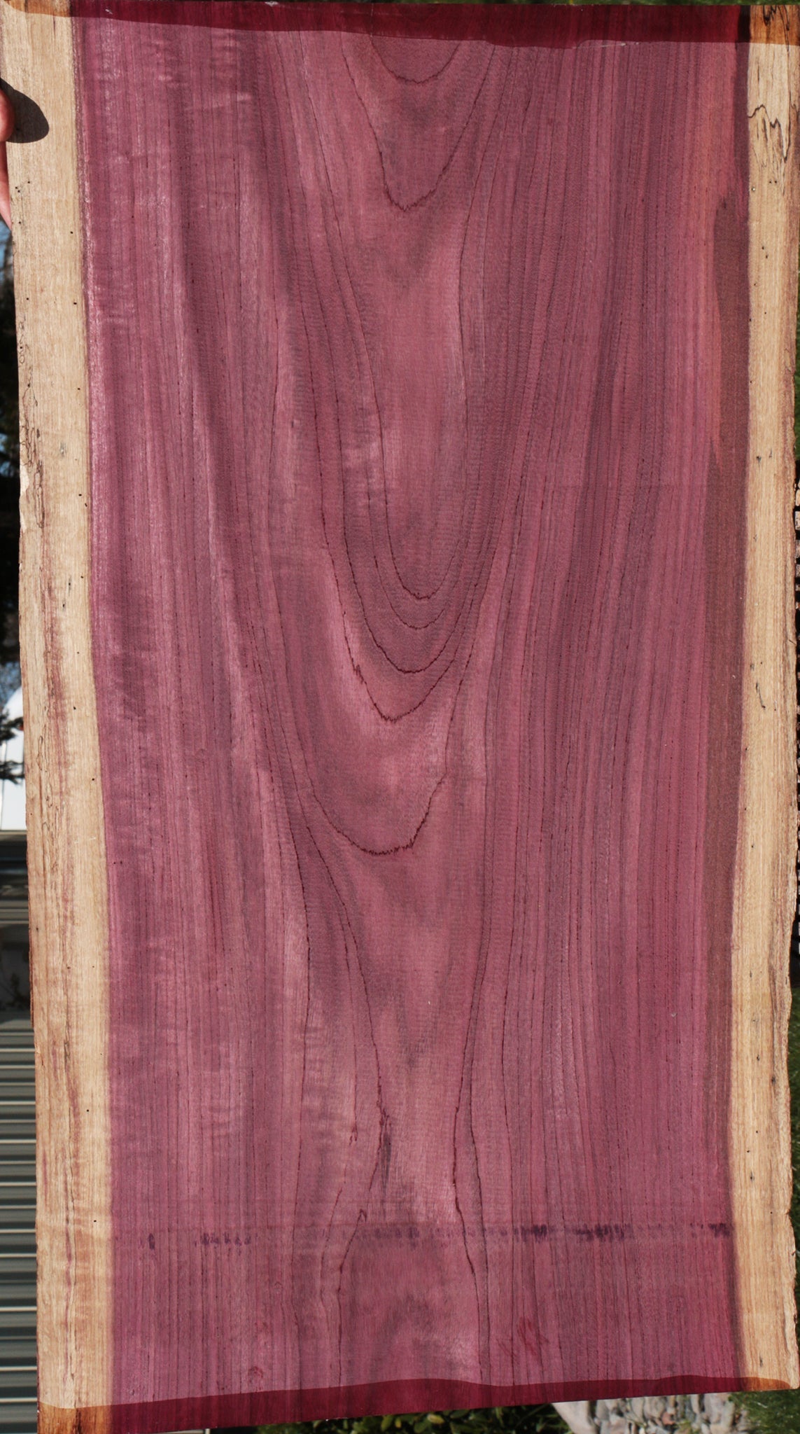 Purple hot Heart Wood Live Edge Slabs