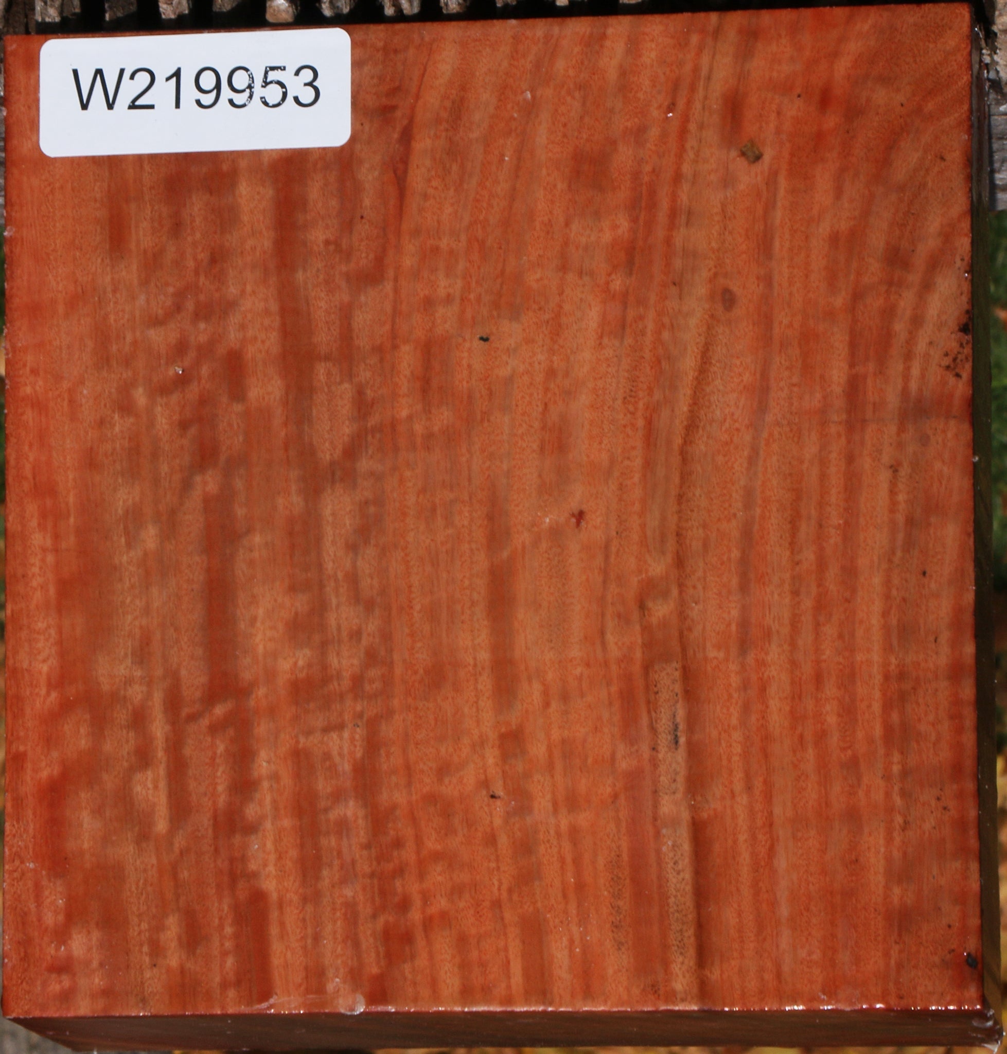 Red Ironbark Pen Blanks, 10 pc. good - Free Shipping