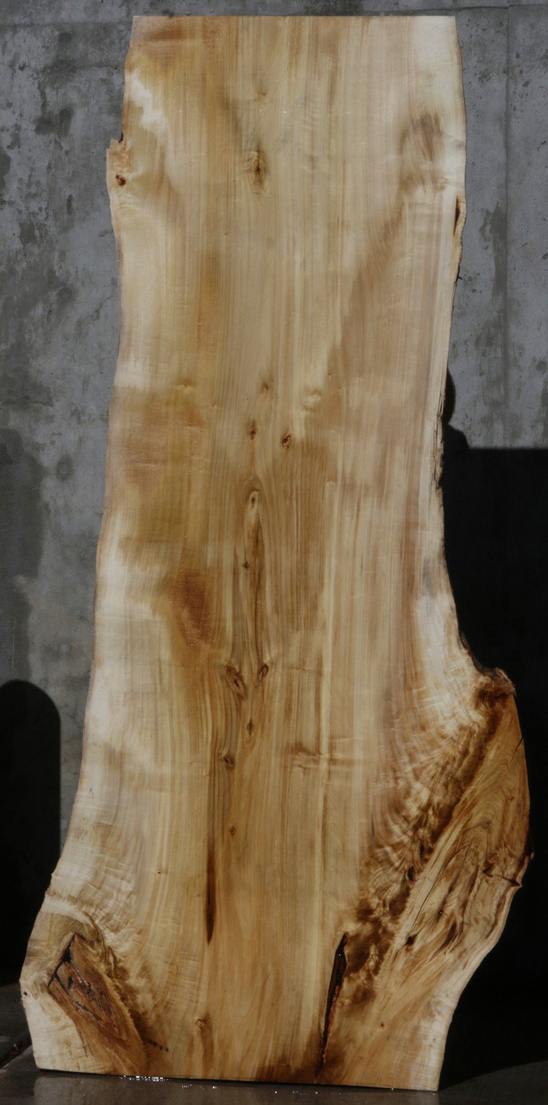 Black Cottonwood Slab – Cook Woods