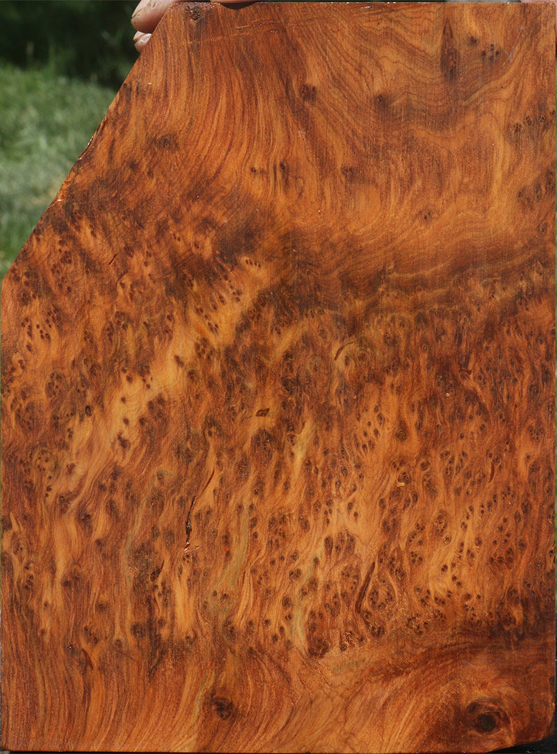 Exhibition Thuya Burl Knife Scales – Cook Woods