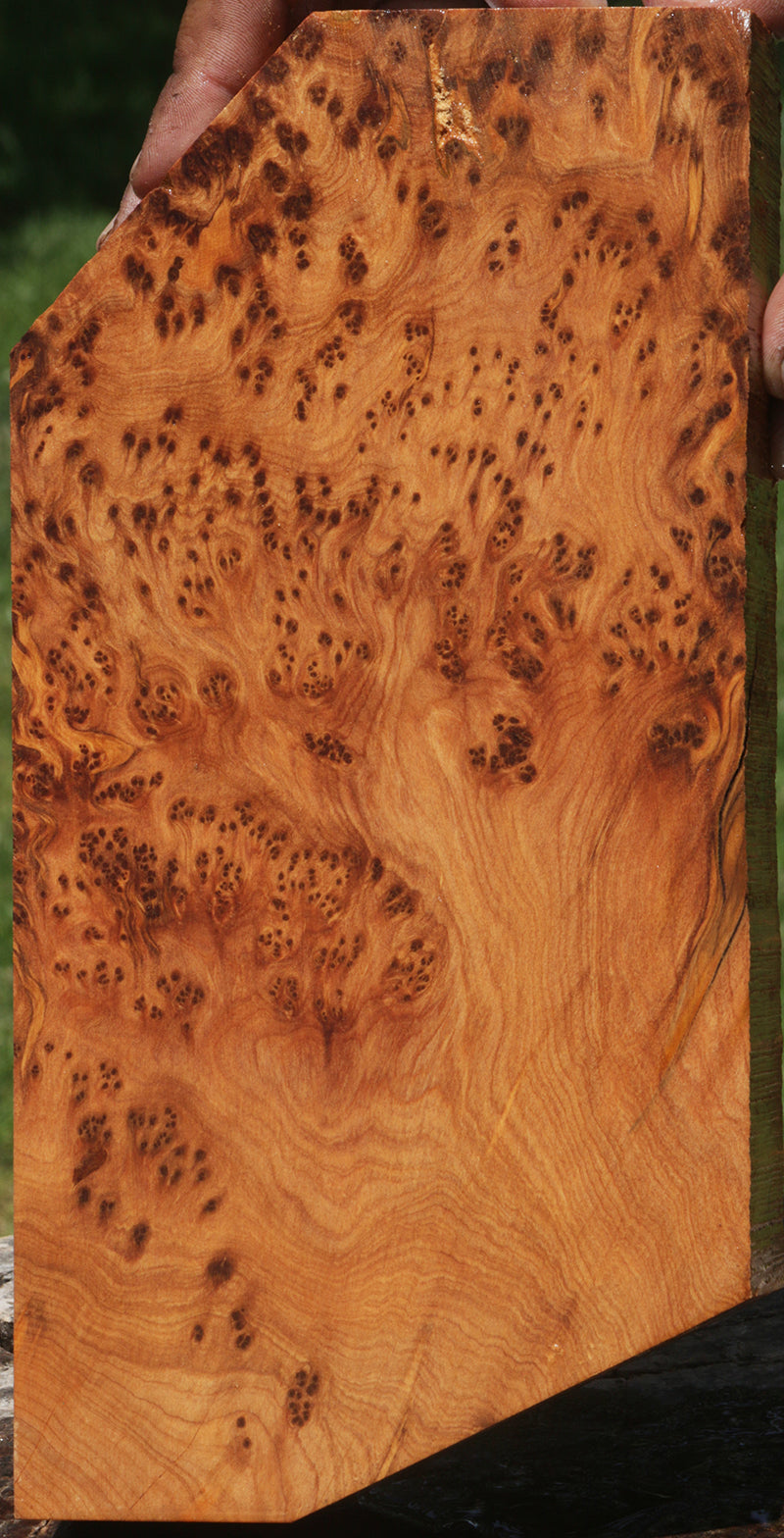Thuya Burl Exotic Wood Blanks & Turning Wood