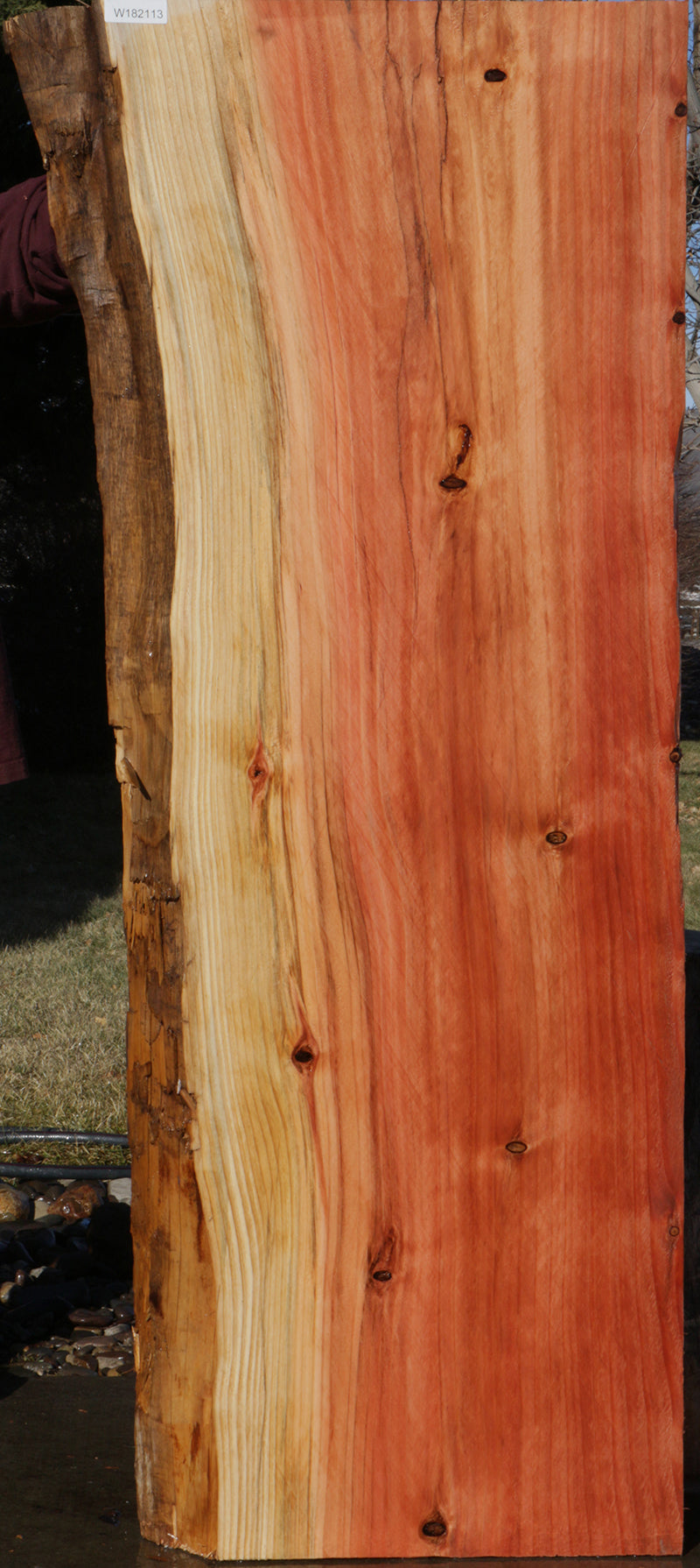 Rustic Wood Slices Poplar Wood Slabs