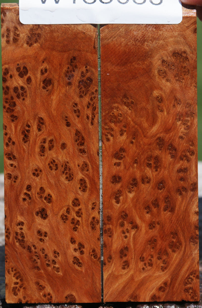 Exhibition Thuya Burl Knife Scales – Cook Woods