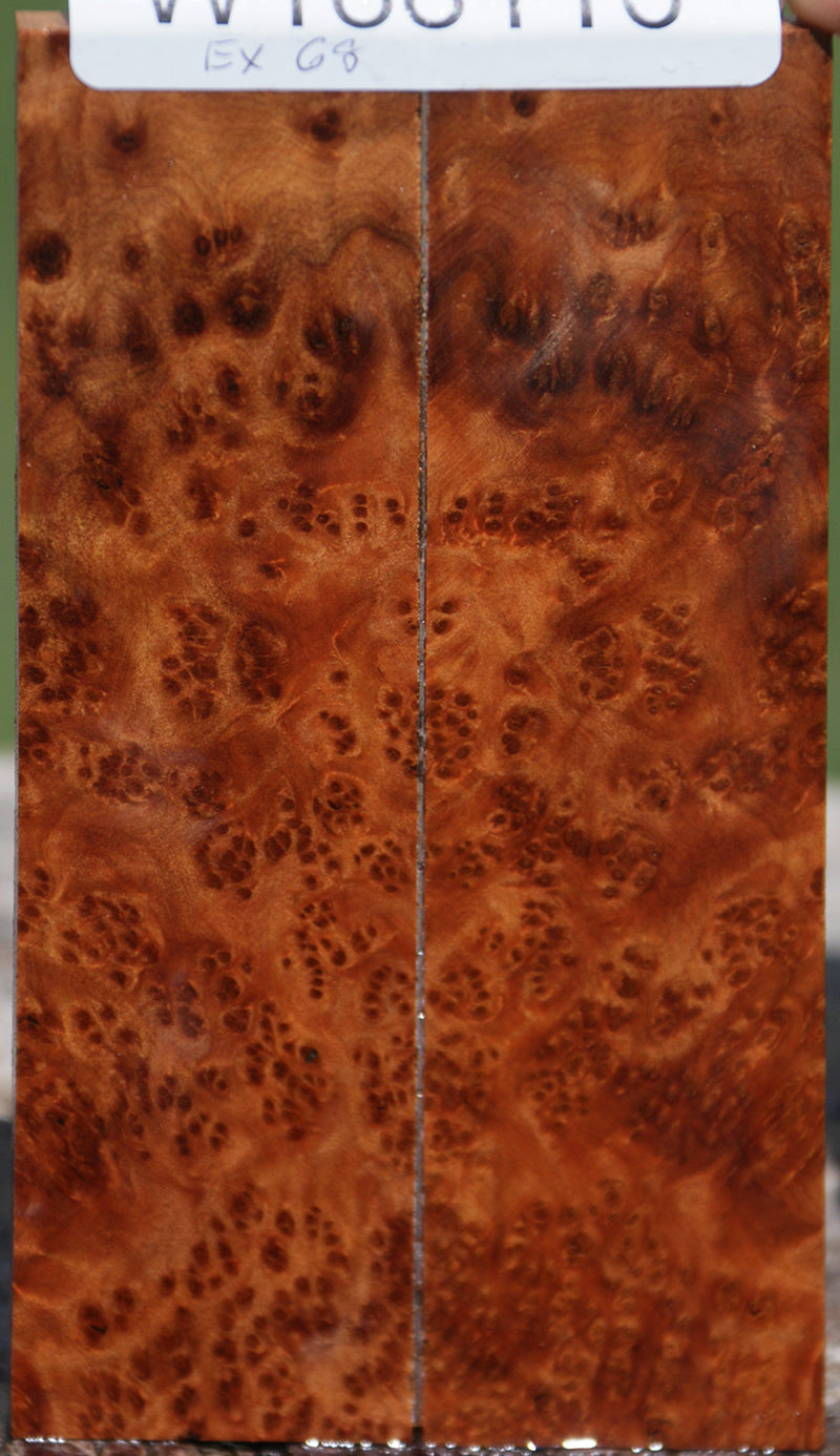 Exhibition Thuya Burl Knife Scales – Cook Woods