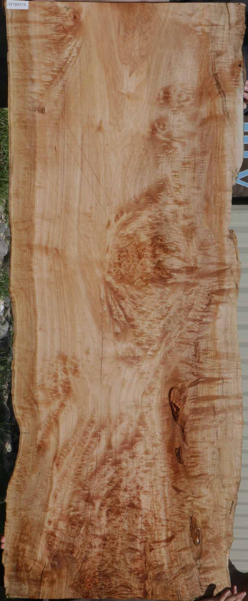 Natural Edge Maple