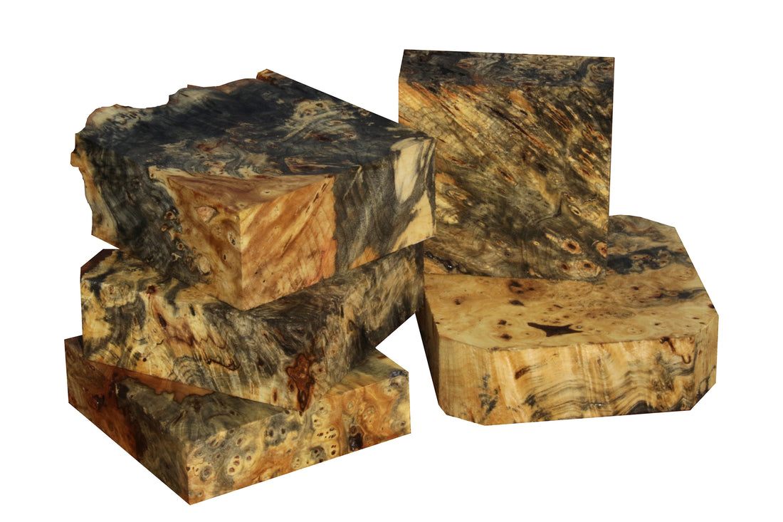 Buckeye Burl