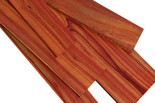 Bacon Bloodwood