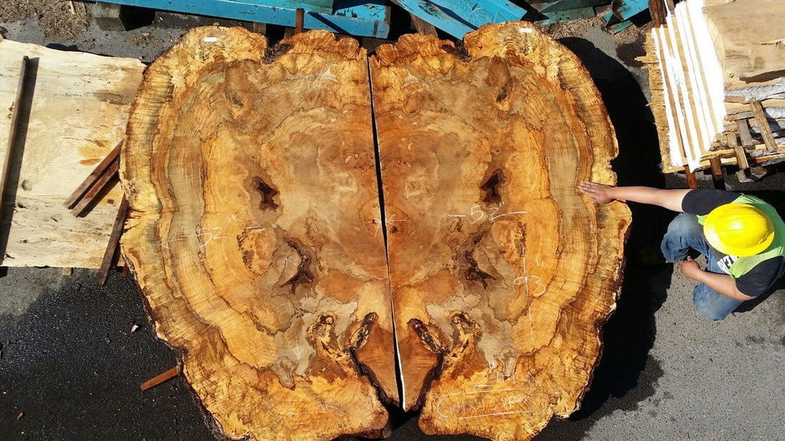 Mammoth Dyer Oak Slabs