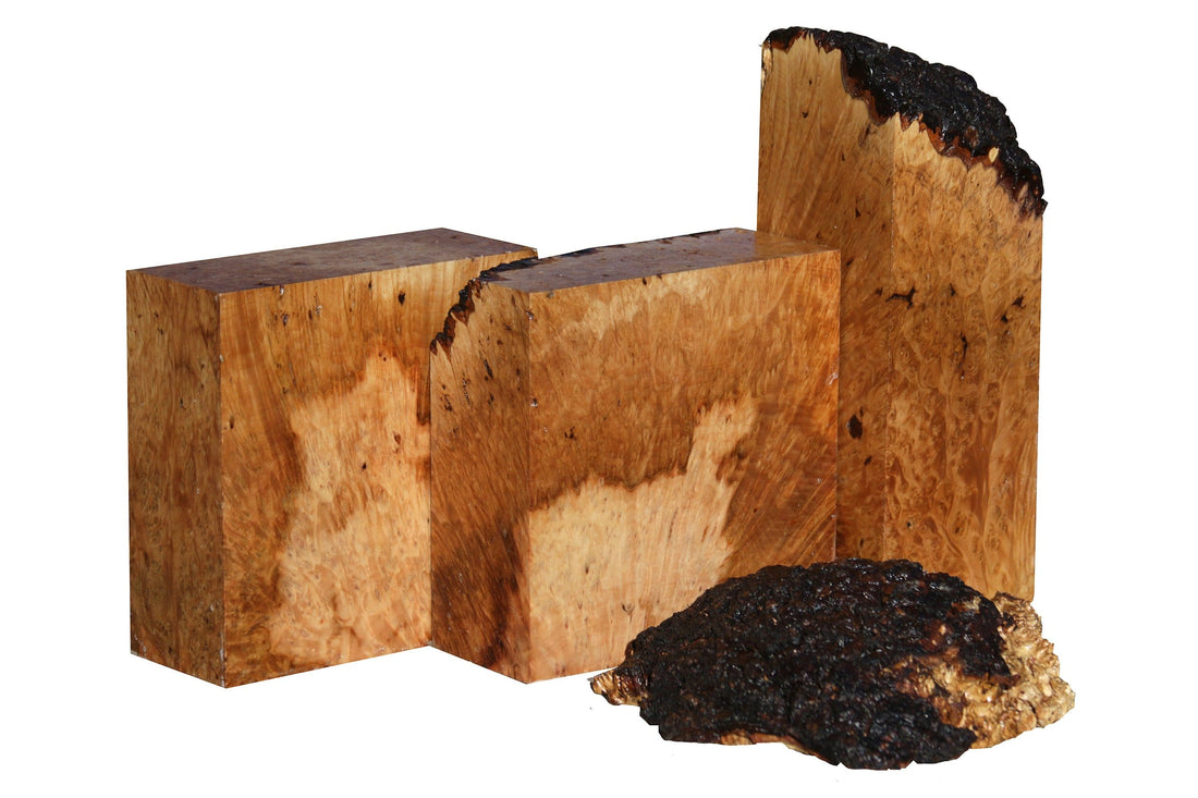 Maple Burl