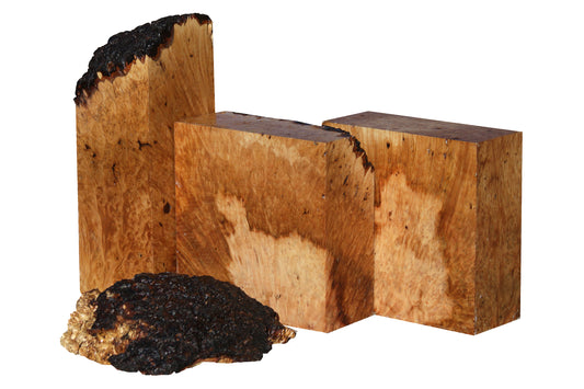 Maple Burl