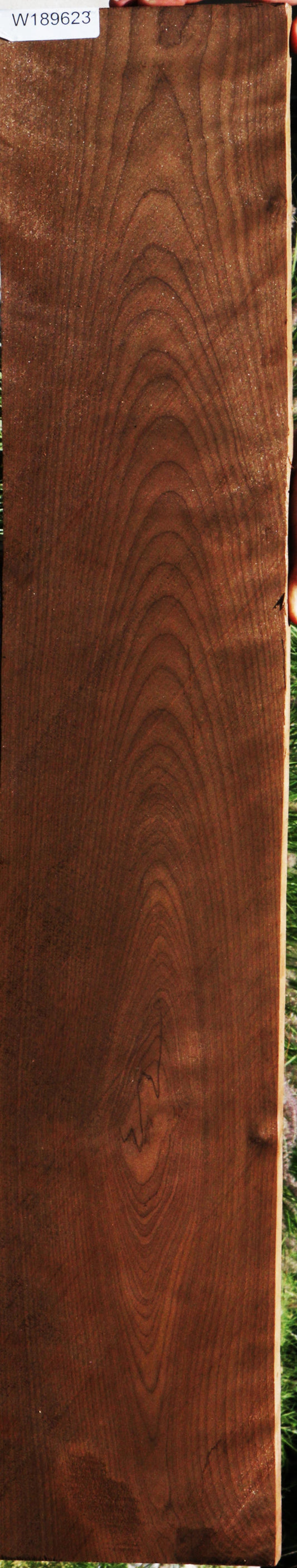 Baked Birch Lumber