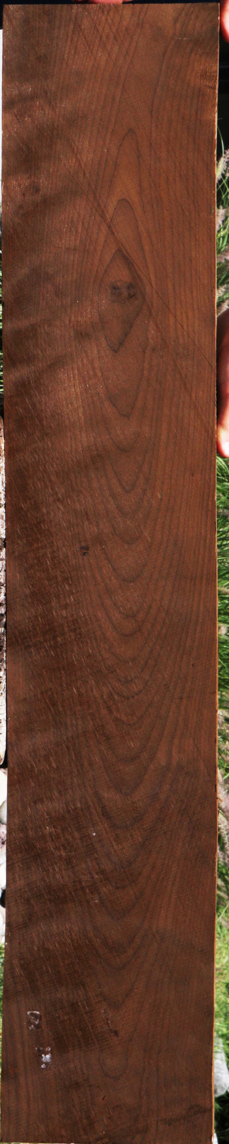 Baked Birch Lumber