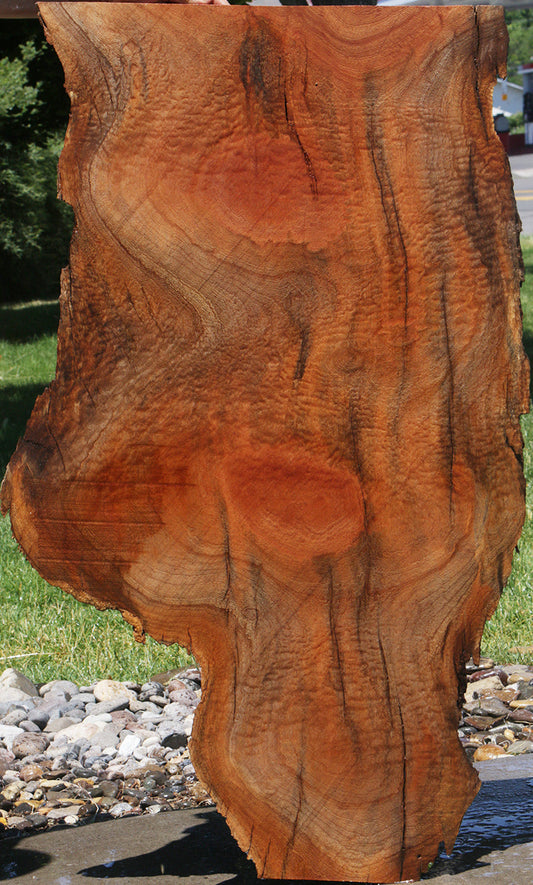 Rustic Pomelle Sapele Live Edge Mini Slab (UPS Overcharge)