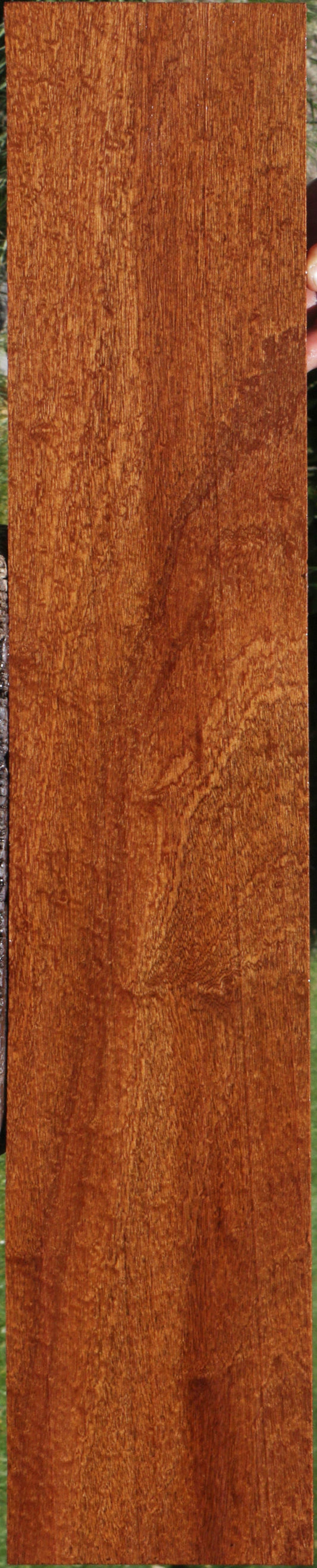 Pomelle Sapele Lumber