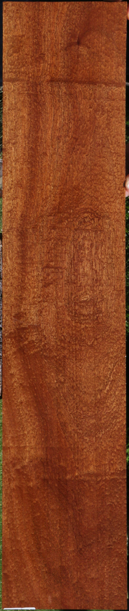 Pomelle Sapele Lumber