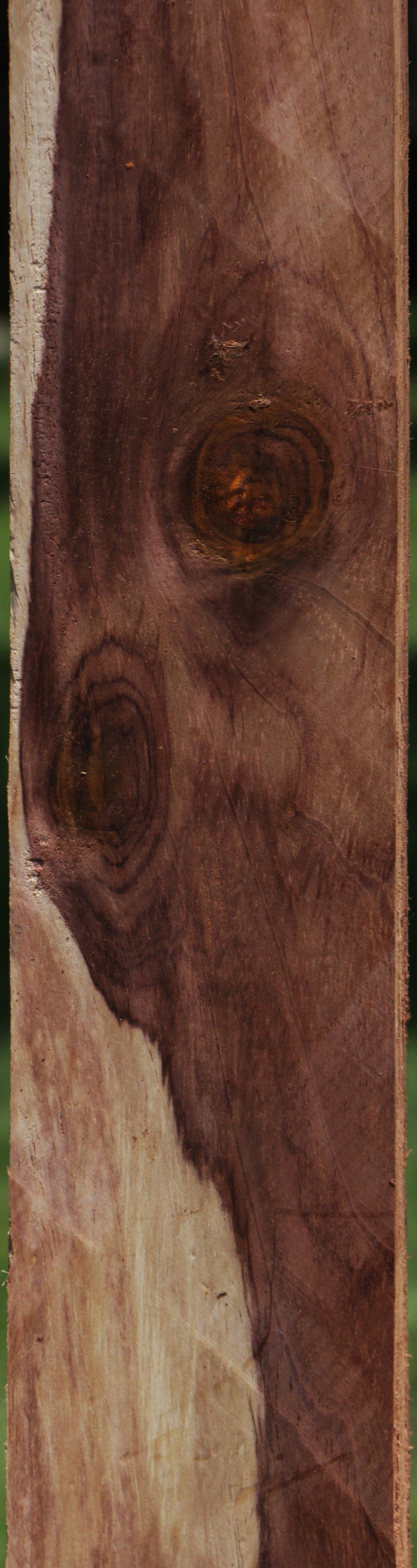 Cocobolo Lumber