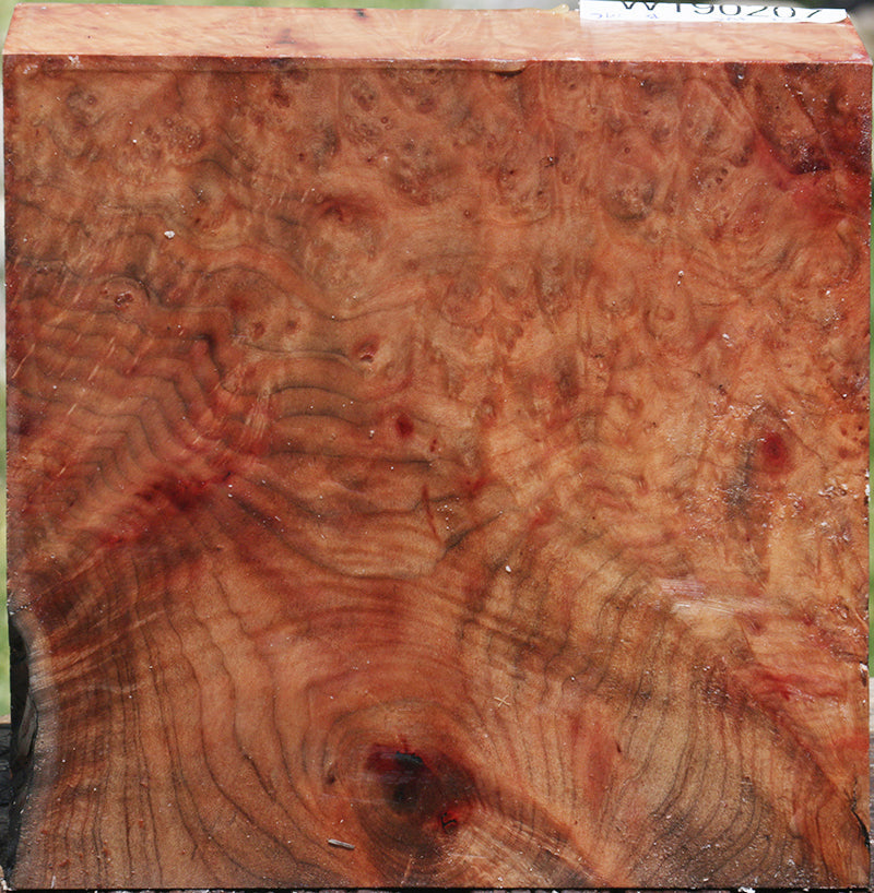 Madrone Burl Bowl Blank