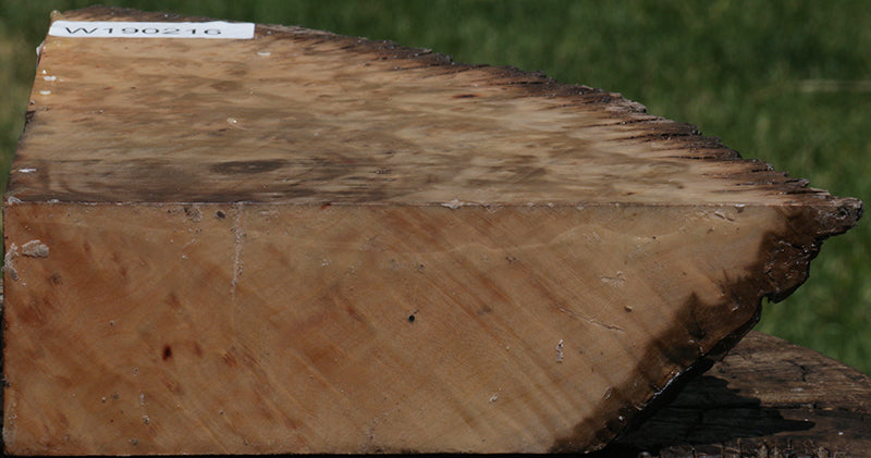 Madrone Burl Live Edge Slice