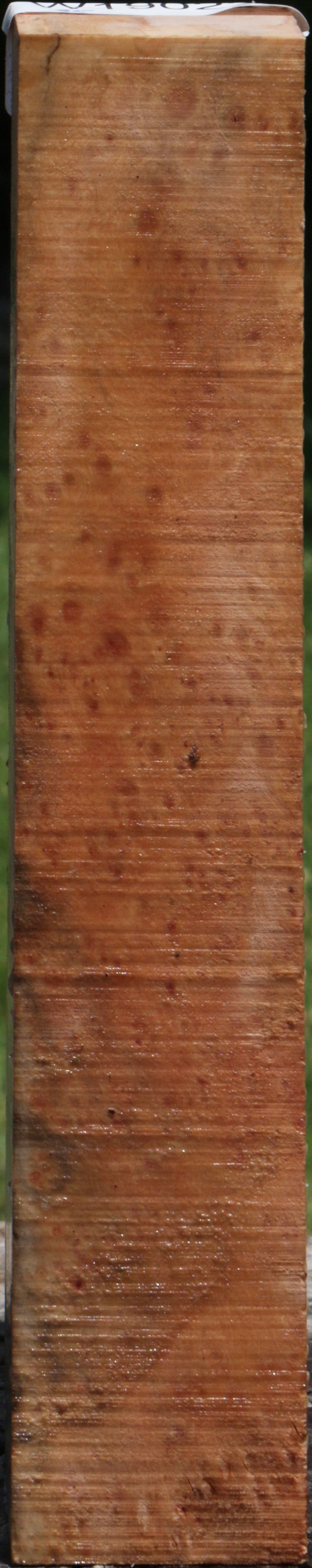 Madrone Burl Turning Square