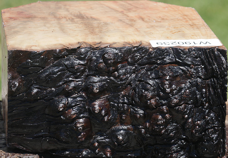 Madrone Burl Live Edge Bowl Blank