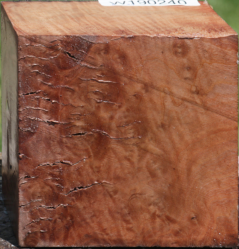 Madrone Burl Bowl Blank