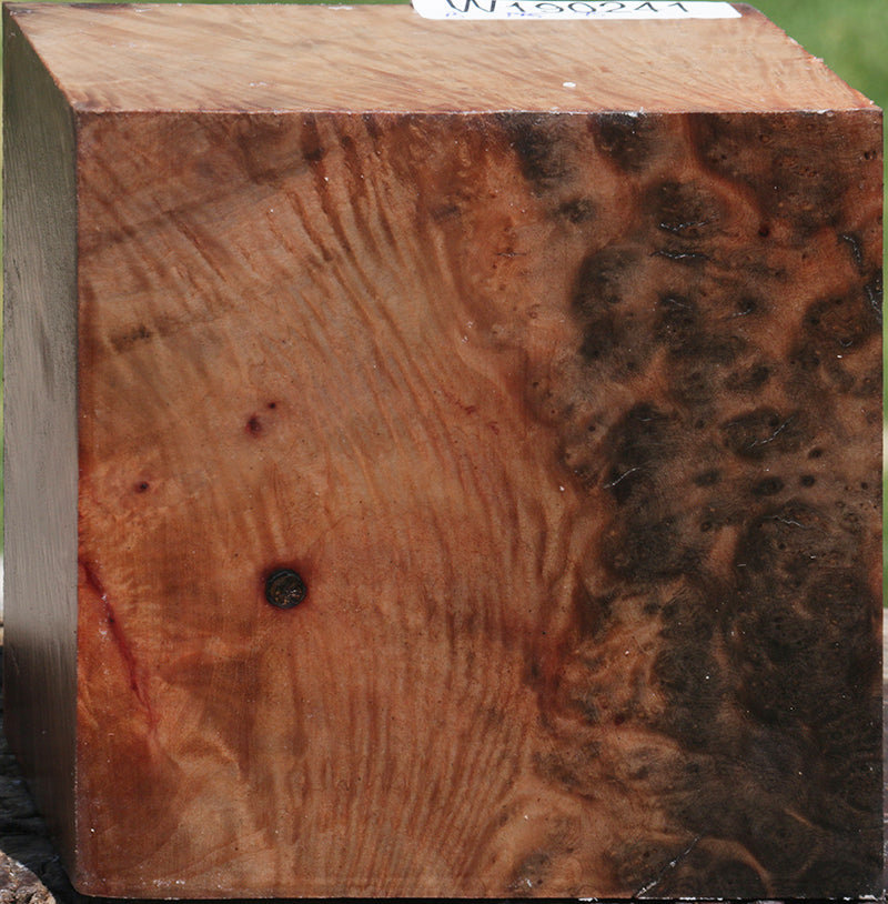 Madrone Burl Bowl Blank