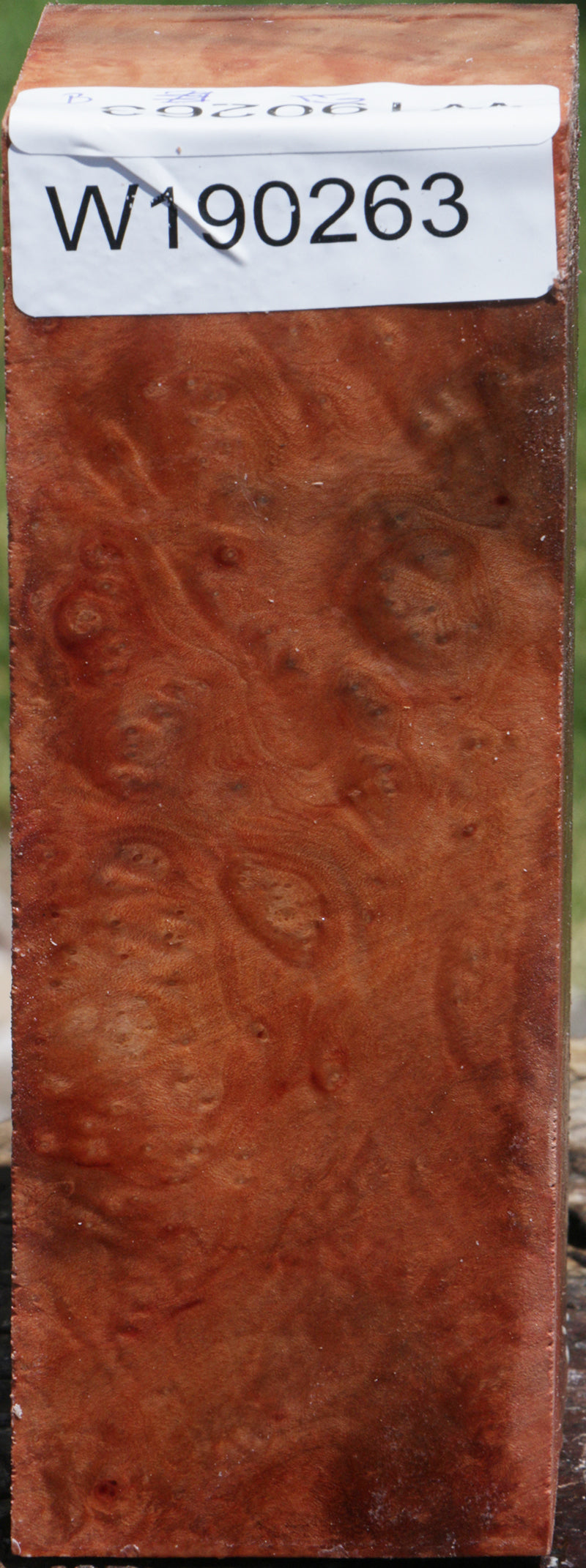 Madrone Burl Turning Square