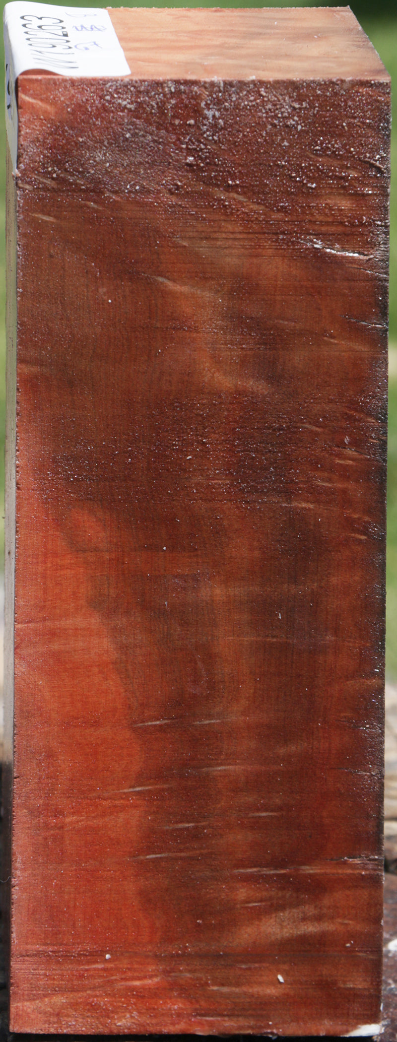 Madrone Burl Turning Square