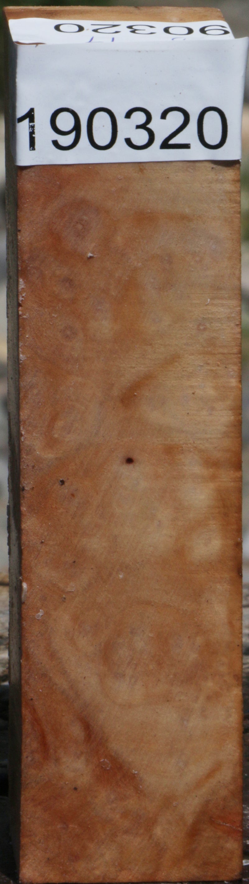 Madrone Burl Turning Square