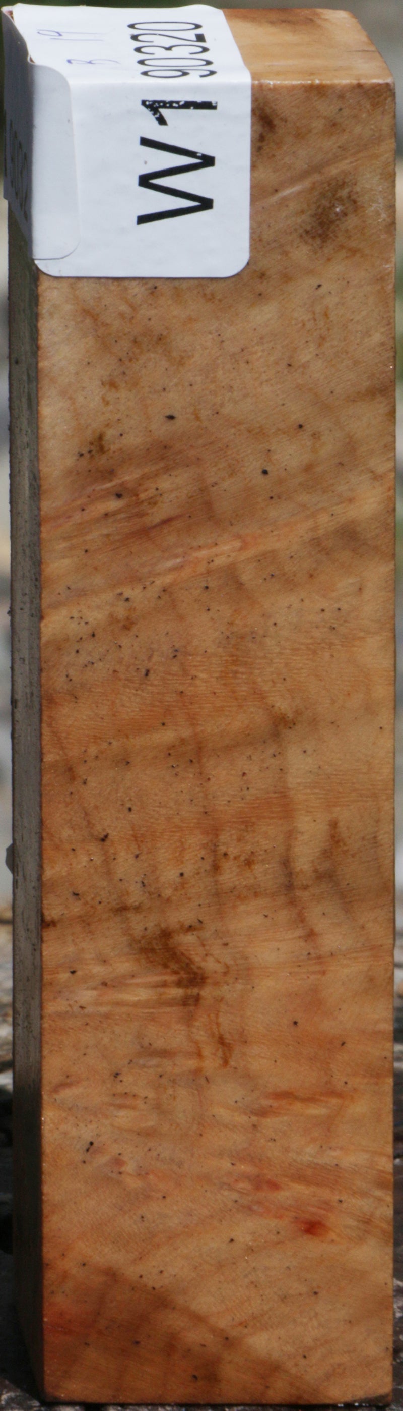 Madrone Burl Turning Square