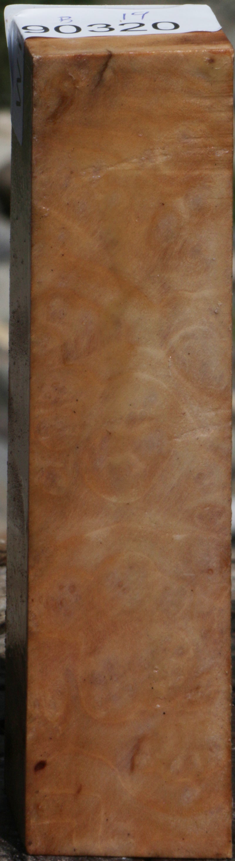 Madrone Burl Turning Square