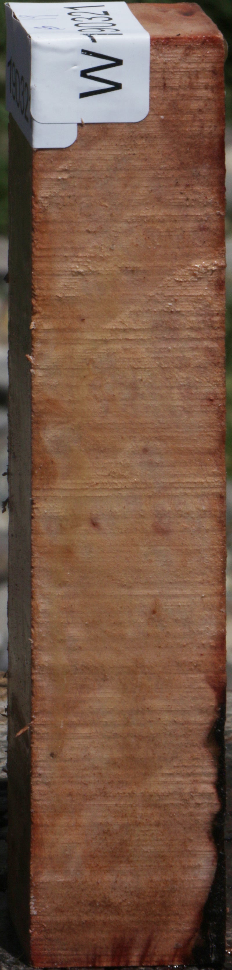 Madrone Burl Turning Square