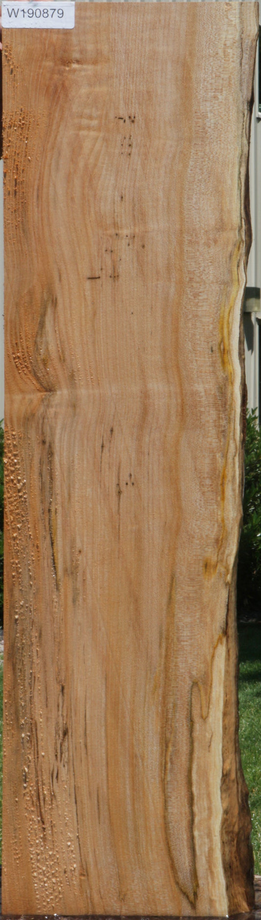 Western Maple Live Edge Lumber