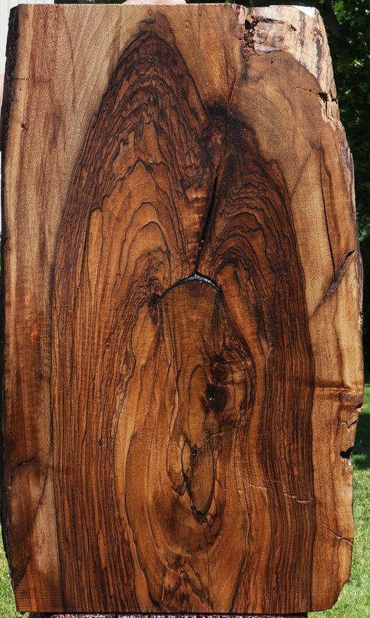 Rustic English Walnut Live Edge Mini Slab