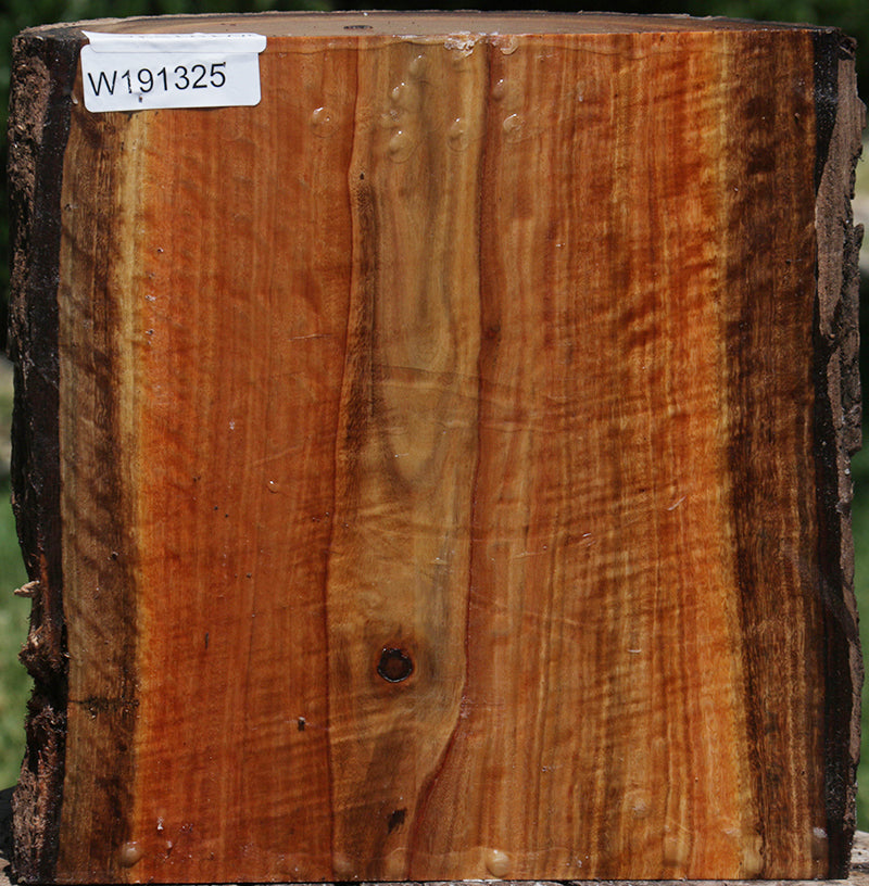 Extra Fancy Wilga Live Edge Half Log