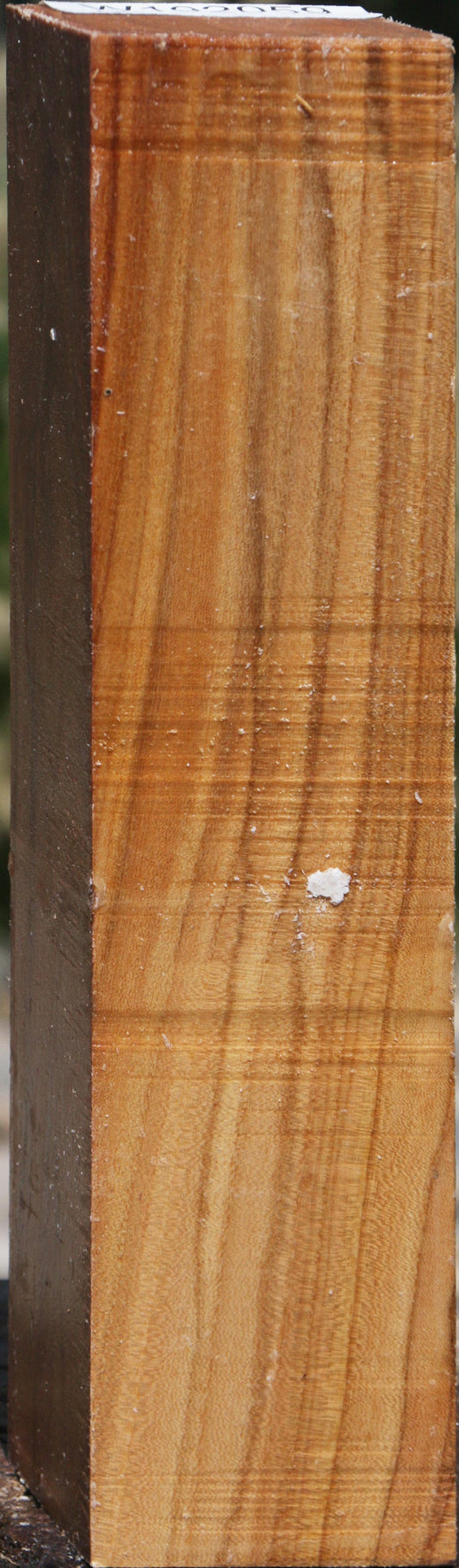 Lacebark Elm Turning Square