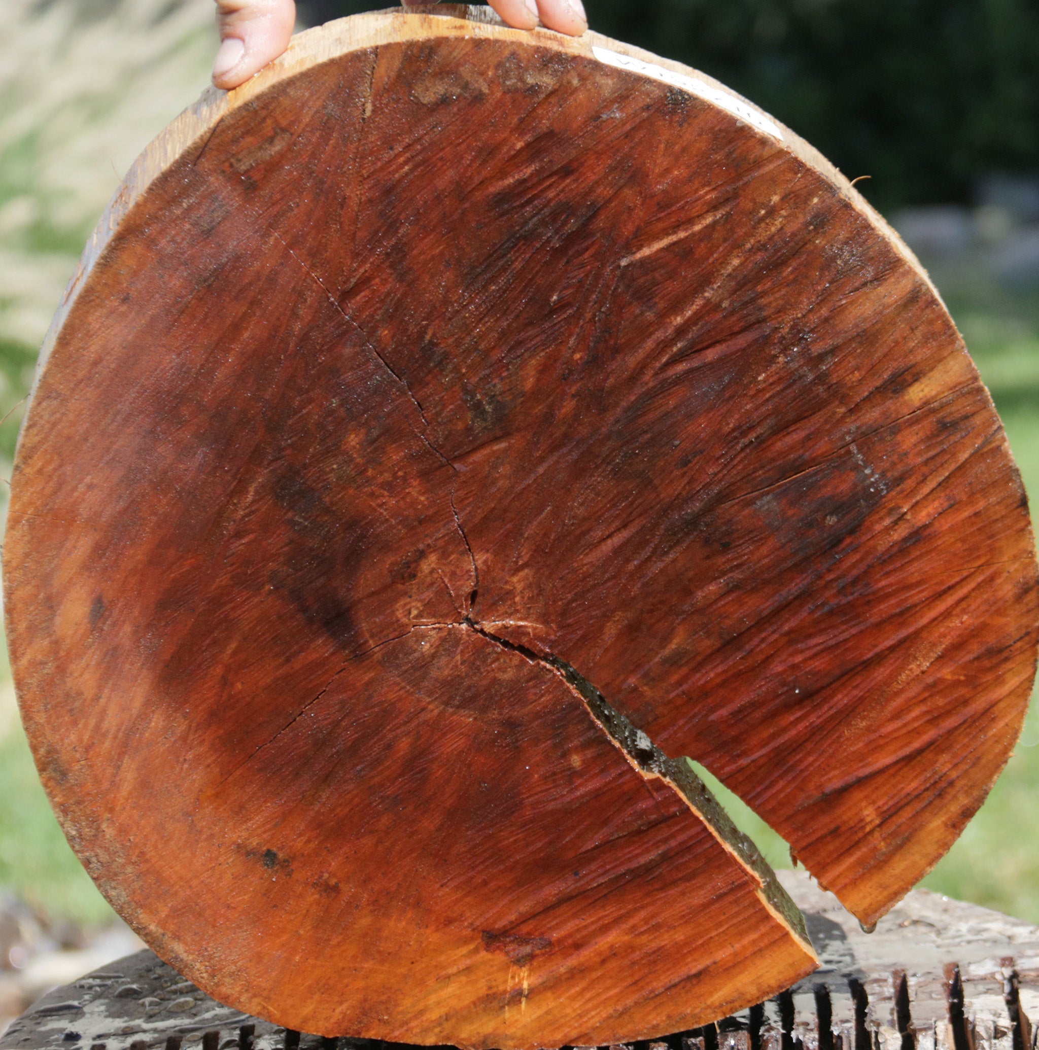 Spalted Brazilian Cherry Pen Blanks 10 on sale pc - Free Shipping