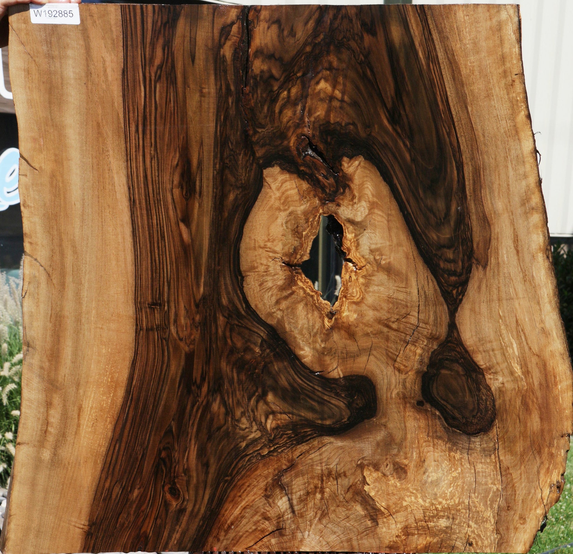 Live Edge Raw English Walnut Slab