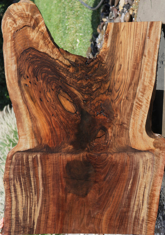 Exhibition Rustic Grafted Claro English Walnut Live Edge Slab (Free Shipping Excluded)