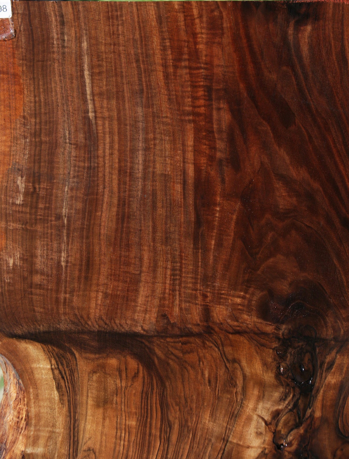 Exhibition Rustic Grafted Claro English Walnut Live Edge Slab (Free Shipping Excluded)