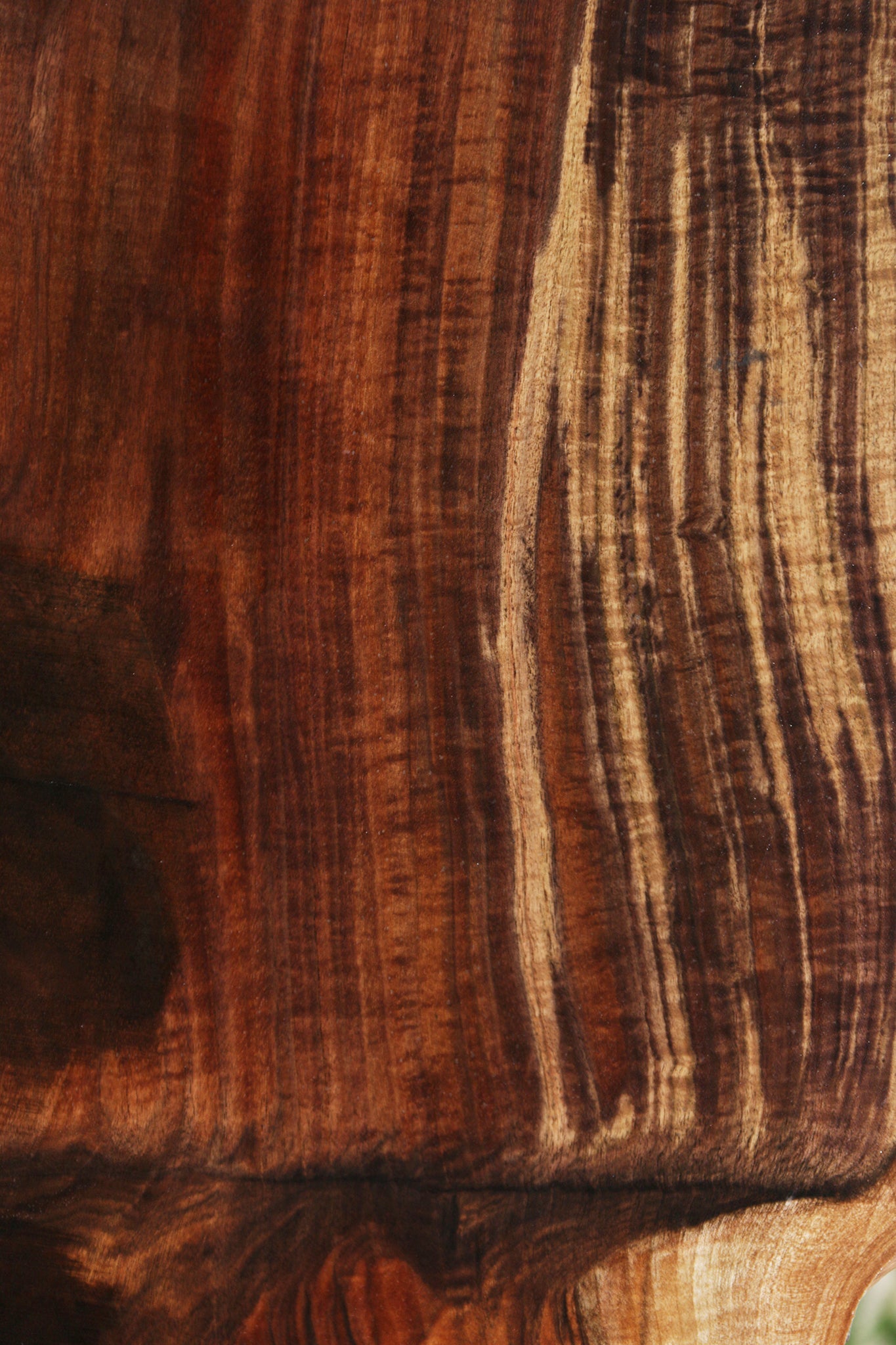 Exhibition Rustic Grafted Claro English Walnut Live Edge Slab (Free Shipping Excluded)