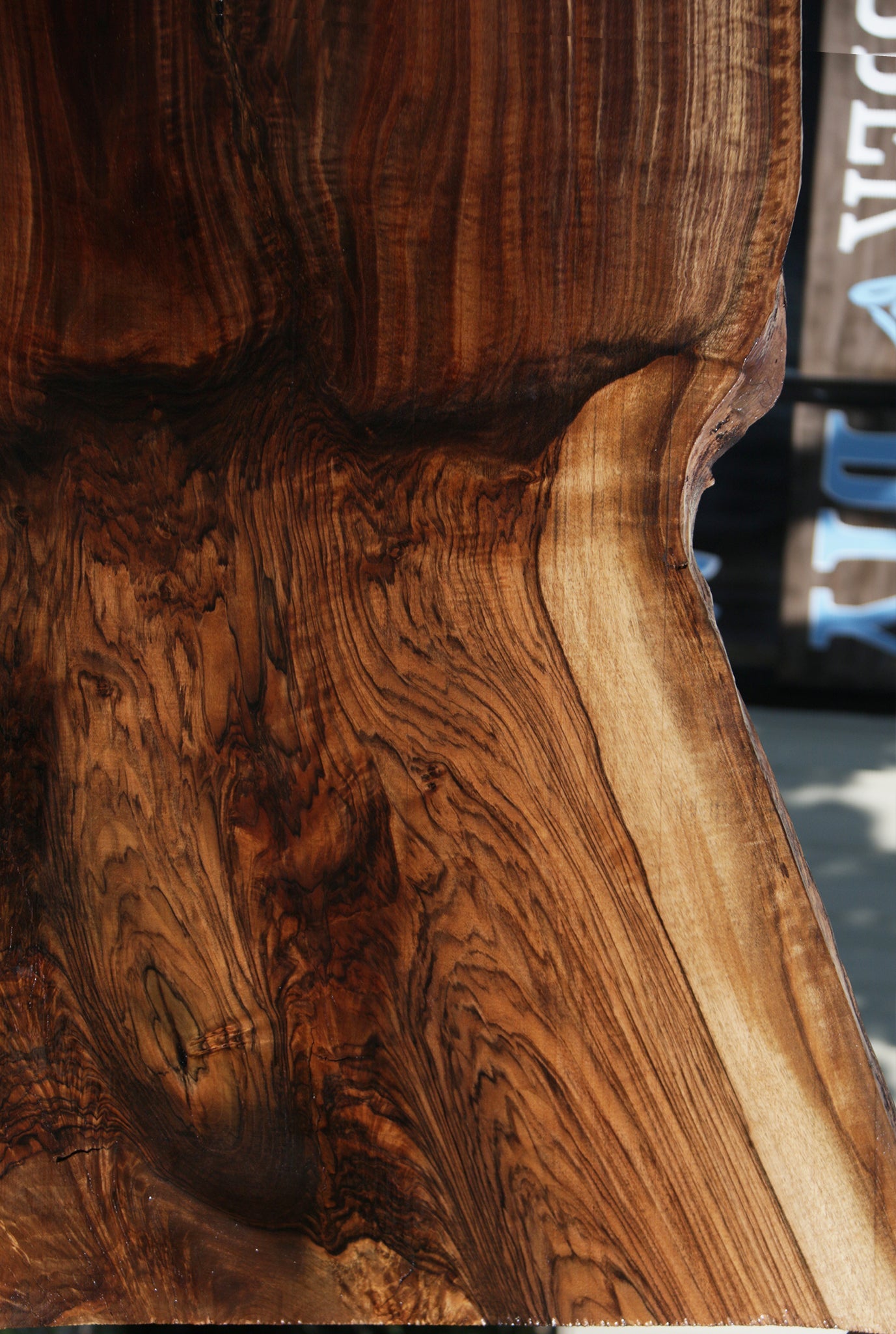 Exhibition Grafted Claro English Walnut Live Edge Slab (Free Shipping Excluded)