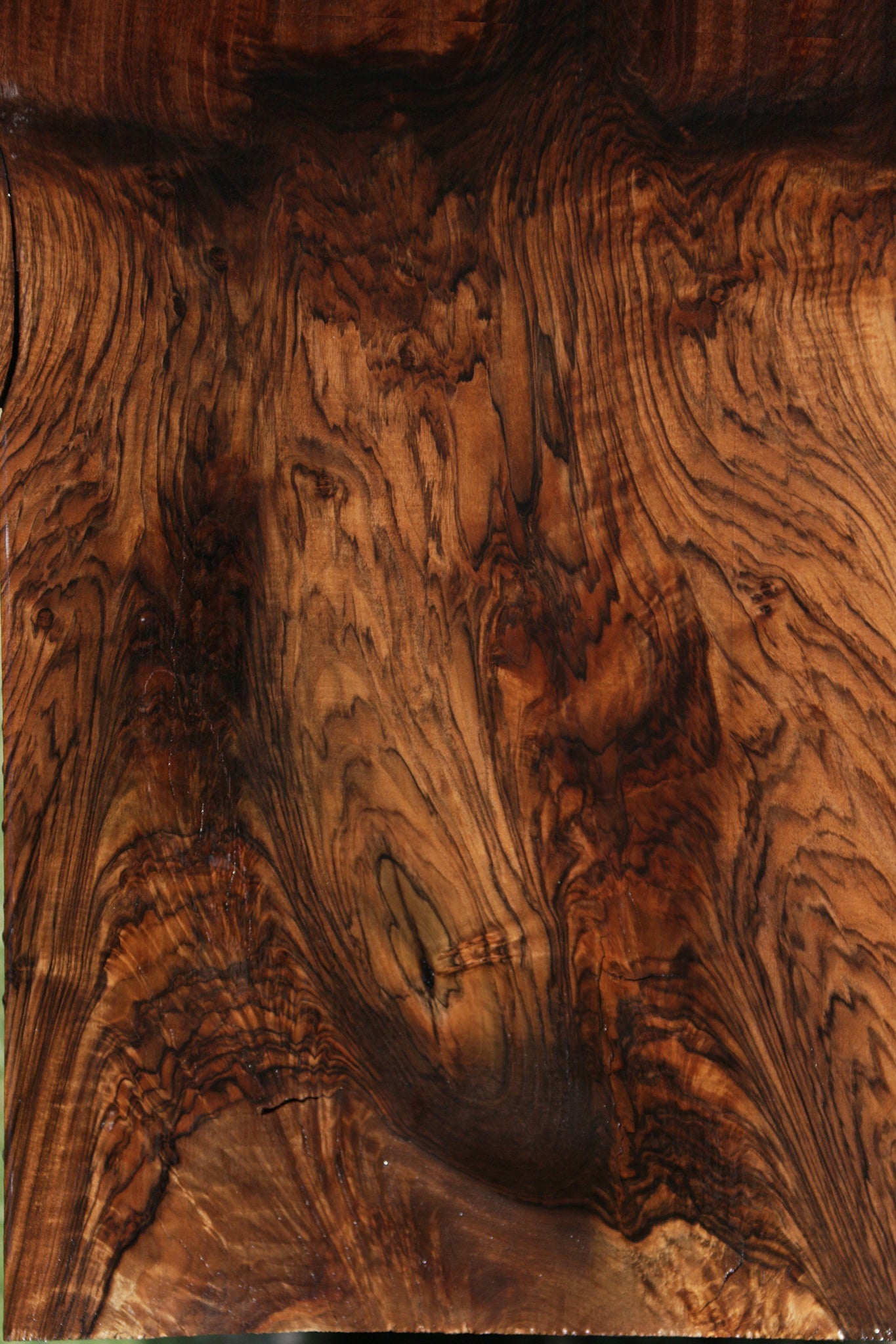 Exhibition Grafted Claro English Walnut Live Edge Slab (Free Shipping Excluded)