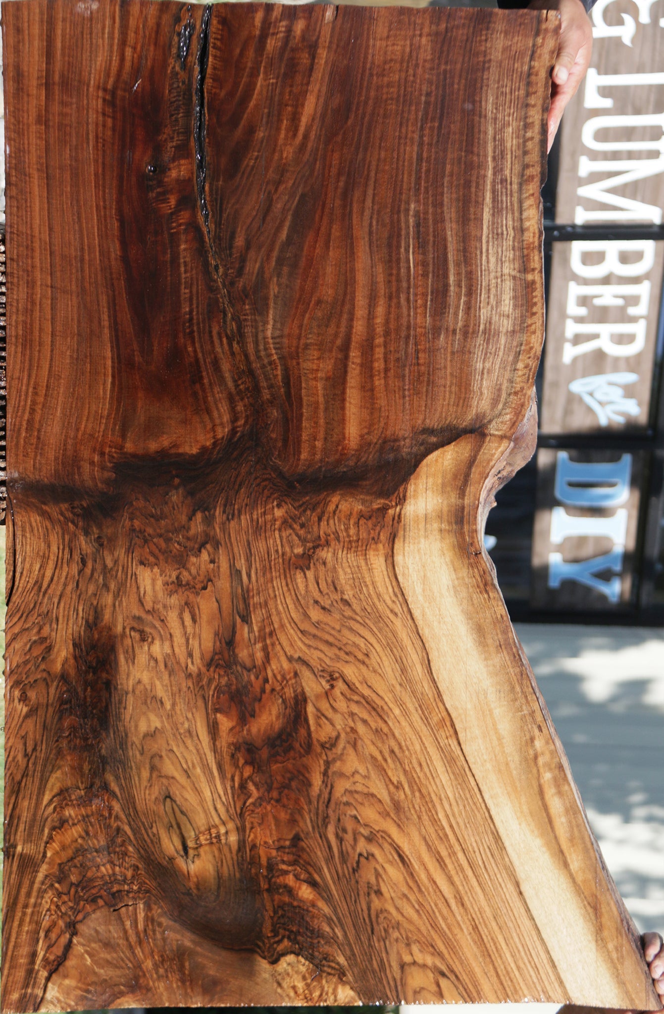 Exhibition Grafted Claro English Walnut Live Edge Slab (Free Shipping Excluded)