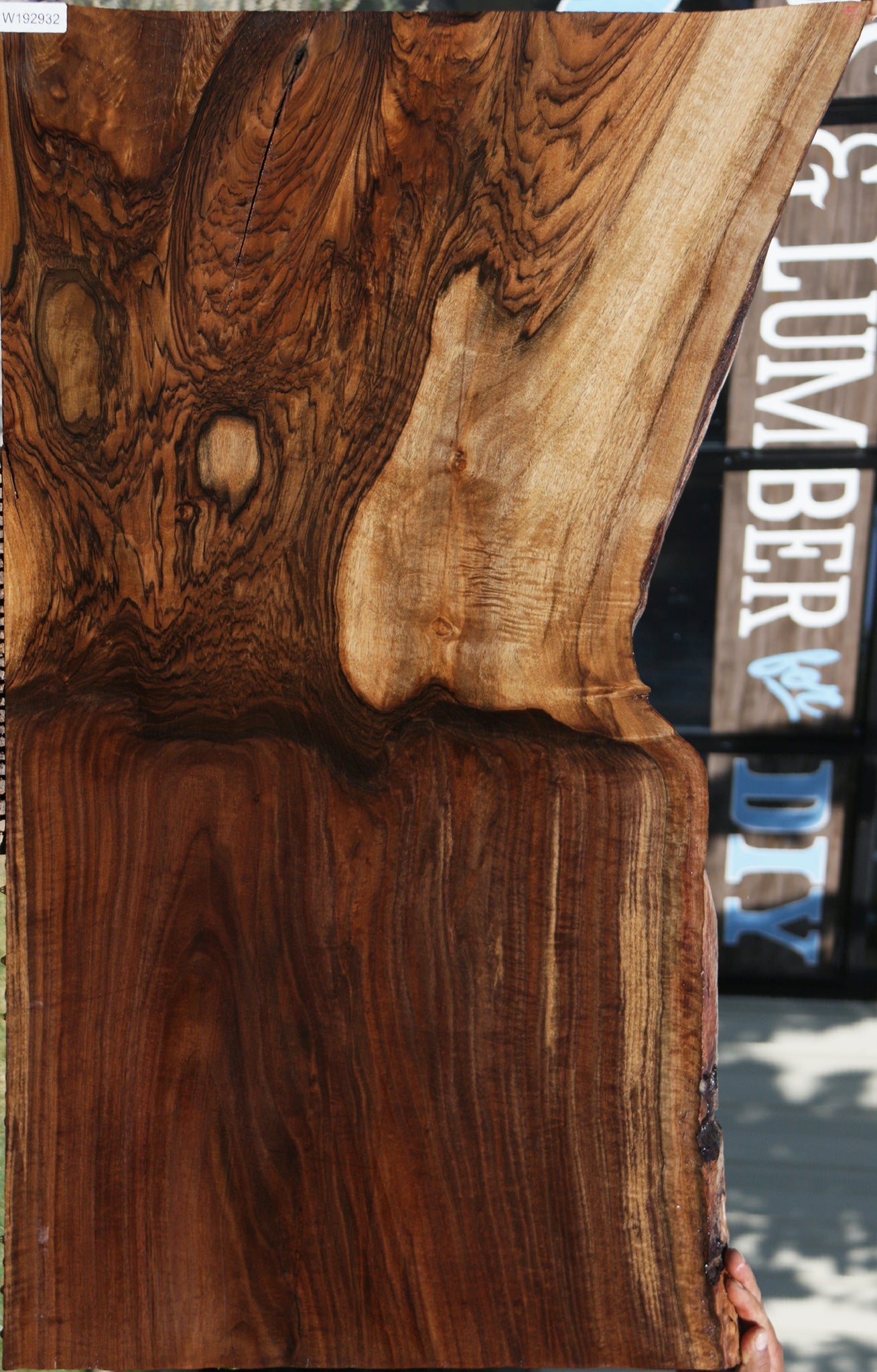 Exhibition Grafted Claro English Walnut Live Edge Slab (Free Shipping Excluded)