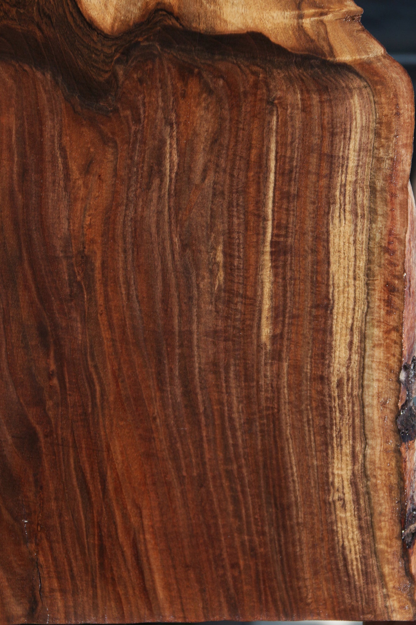 Exhibition Grafted Claro English Walnut Live Edge Slab (Free Shipping Excluded)