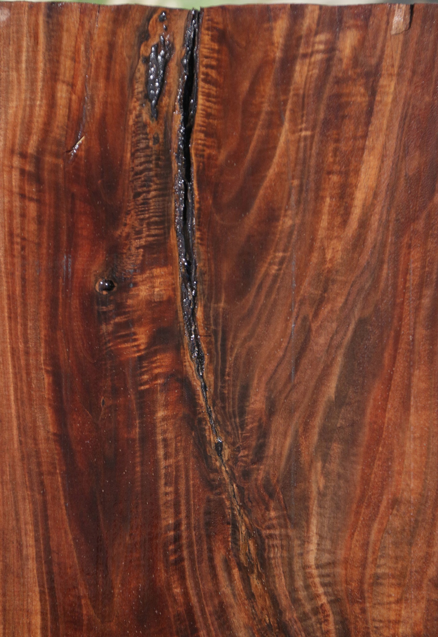 Exhibition Grafted Claro English Walnut Live Edge Slab (Free Shipping Excluded)